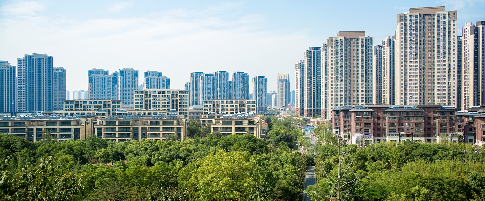 万科森林公园.jpg